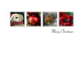 Xmas Cards by Minuteman Falkirk
